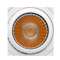 Adjustable Angle Celling COB DownLight